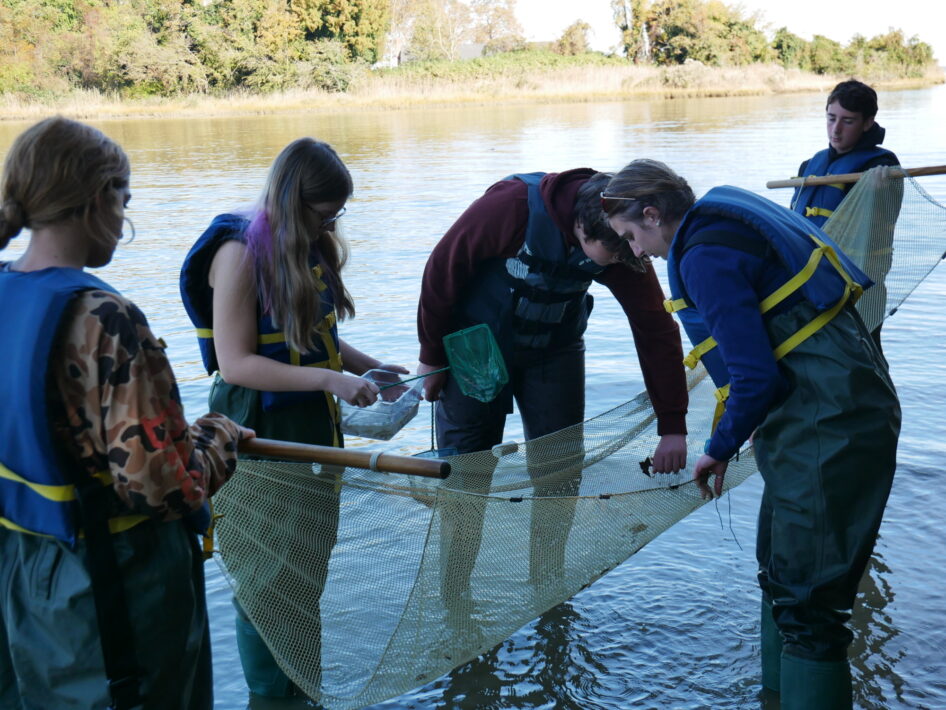 Five high school students wearing waders and life jackets stand in water while holding a seine net.