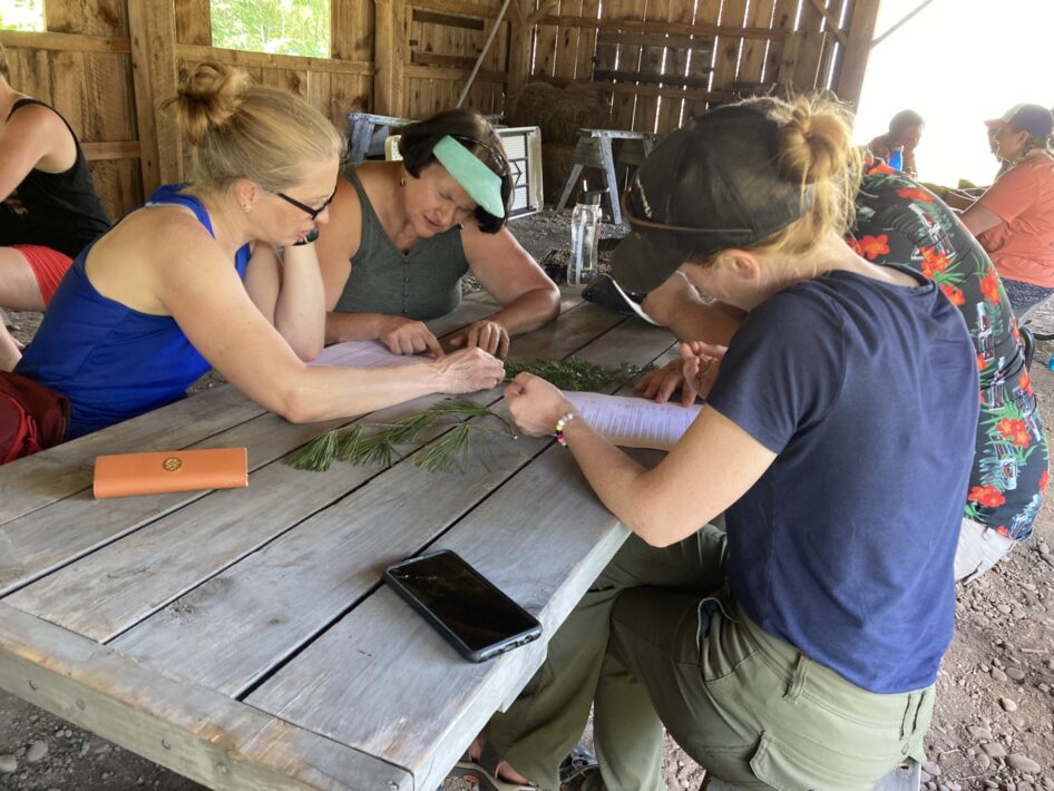 Teachers sit at a wooden table outdoors and examine pine tree branches and worksheets.