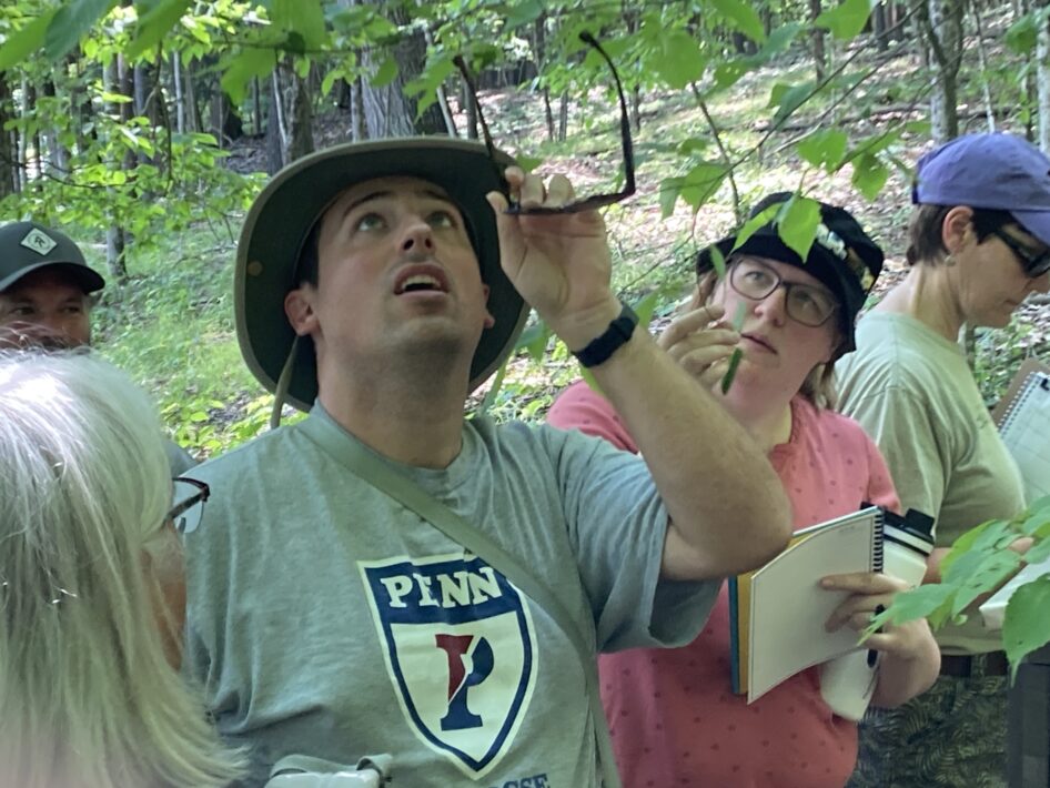 Teachers observe leaves and branches of trees outdoors.