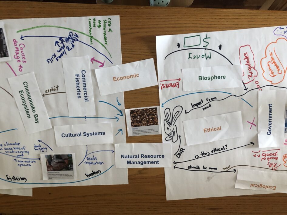 Small sheets of paper with environmental issues and terms are layered on top of larger sheets of paper with arrows and text drawn and written to connect terms.