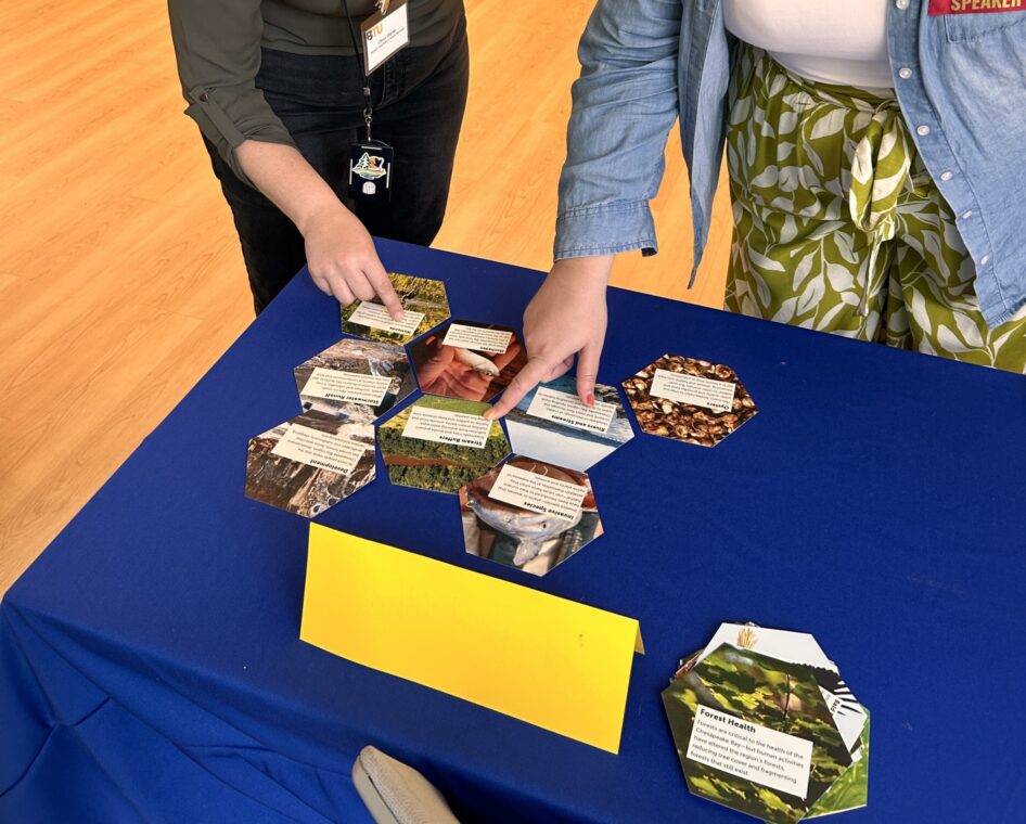 Two educators point at papers cut in the shape of hexagons on top of a dark blue tablecloth.
