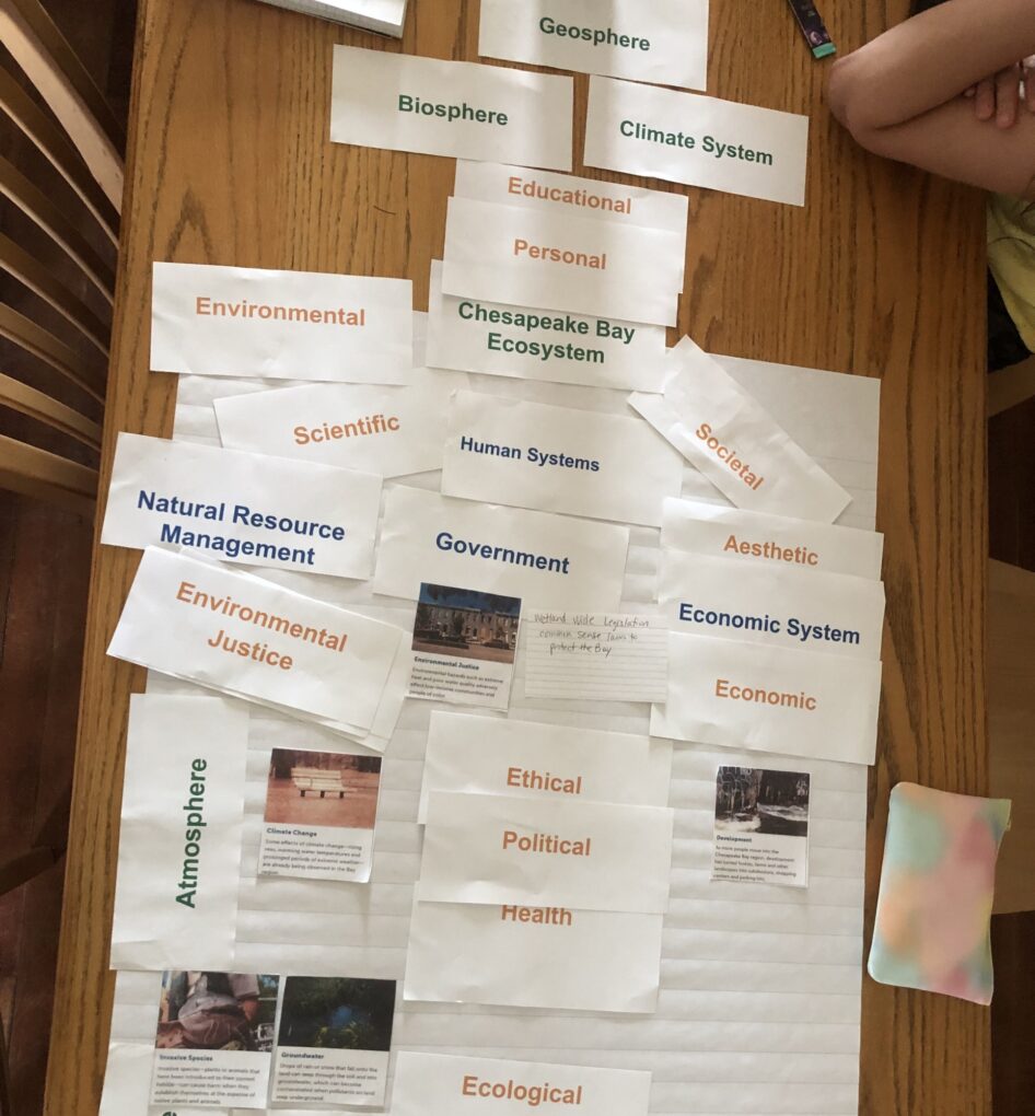 Cut out pieces of paper printed with environmental issues and terms related to human and natural systems.