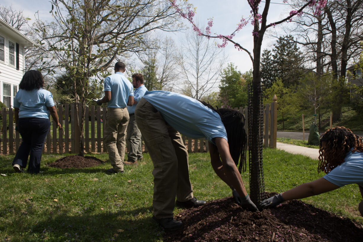 Community Trees - Bay Backpack