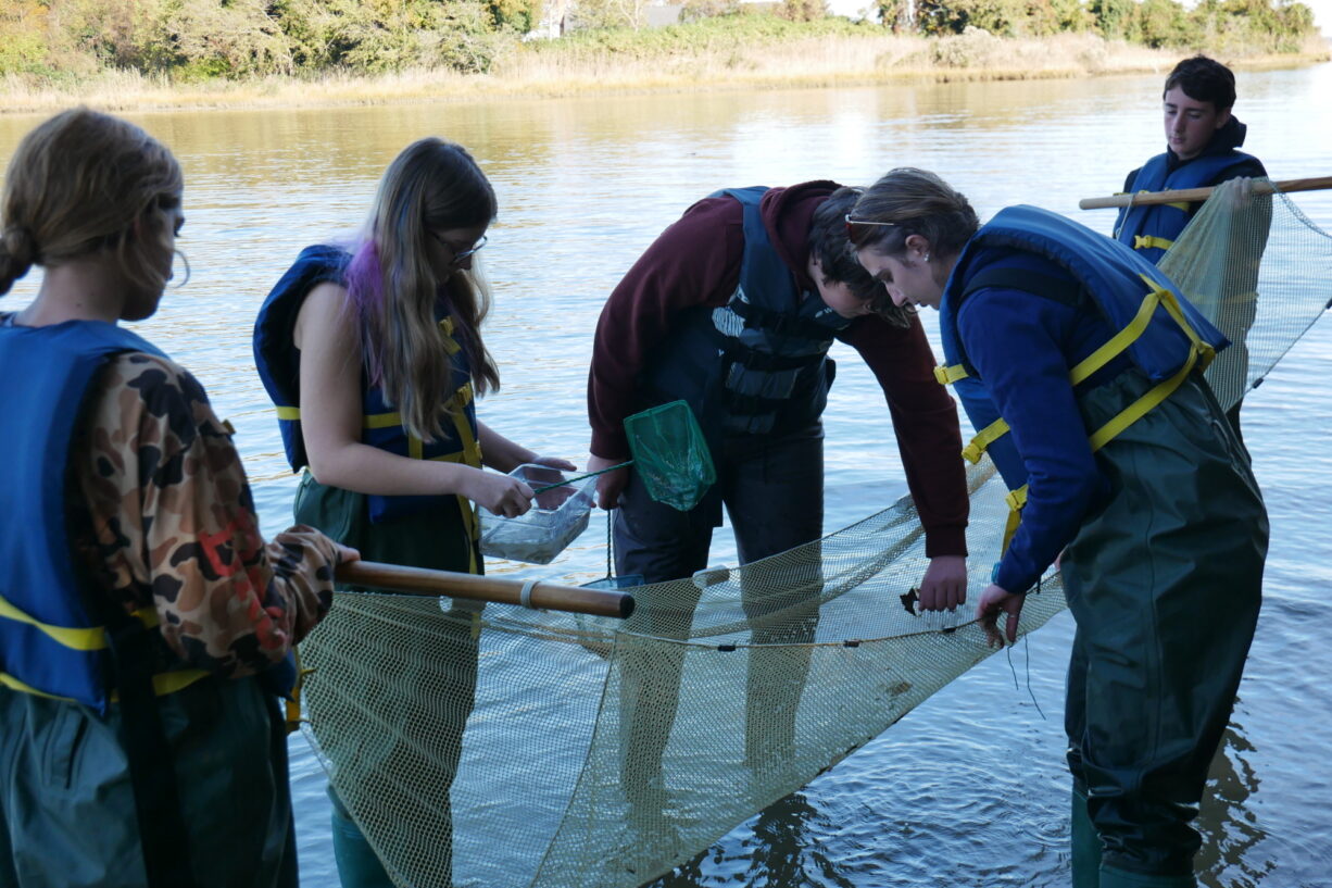 Five high school students wearing waders and life jackets stand in water while holding a seine net.