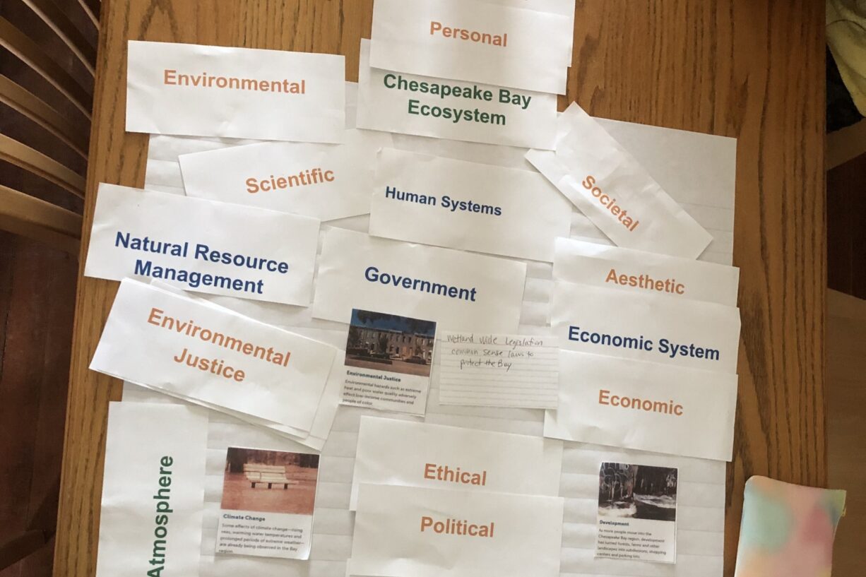 Cut out pieces of paper printed with environmental issues and terms related to human and natural systems.