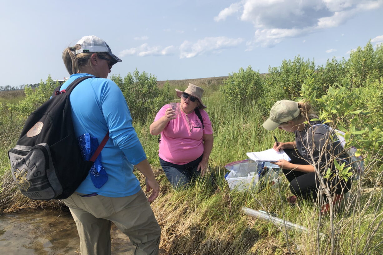 A group of teachers collect water quality data in a marsh.