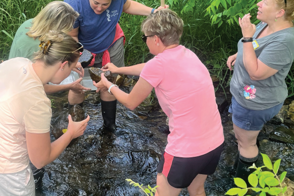 Teachers stand in a stream while holding and examining stones pulled from the stream.